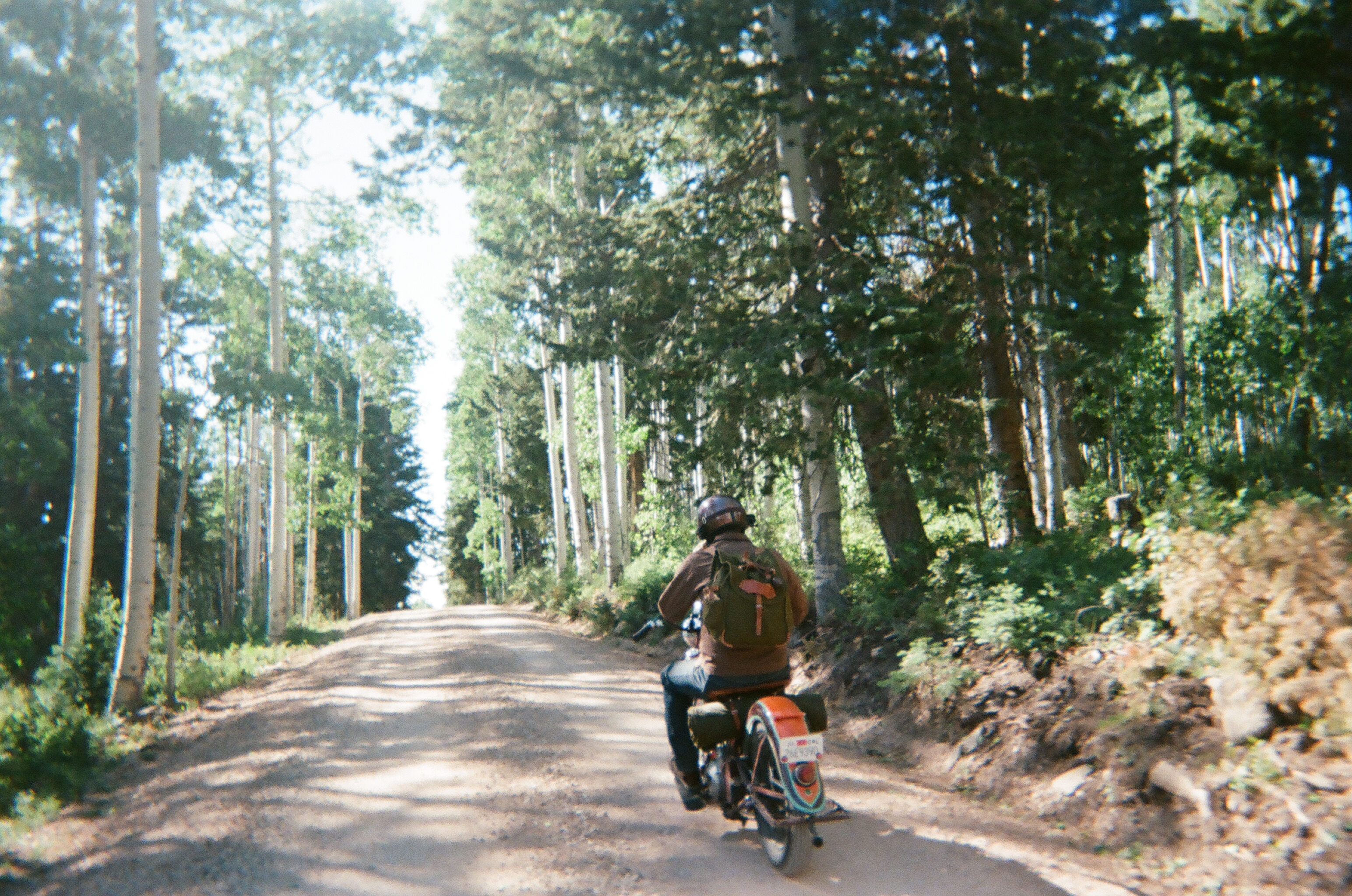 Riding under aspen trees on the Indian