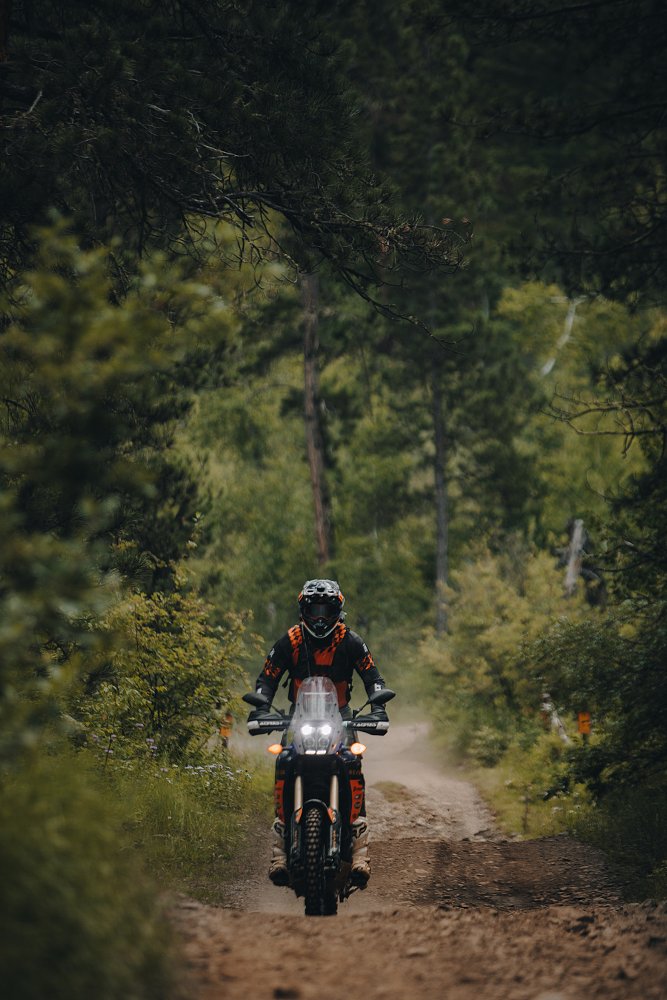 rider on a wooded trail in the Black Hills of South Dakota