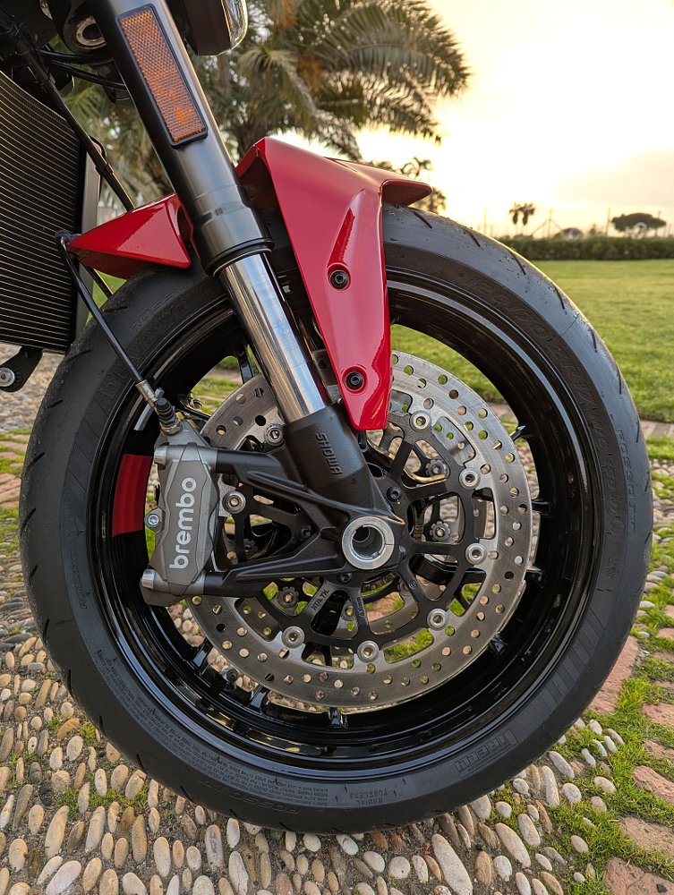 view of the front wheel, suspension and brakes