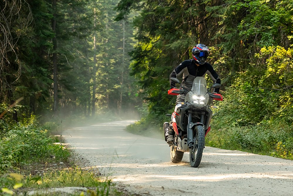 Dustin rides the World Raid on a pine-lined trail.