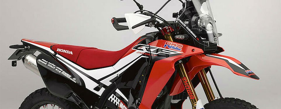 Honda CRF250 Rally concept: Please, Honda