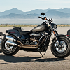 harley softail lineup