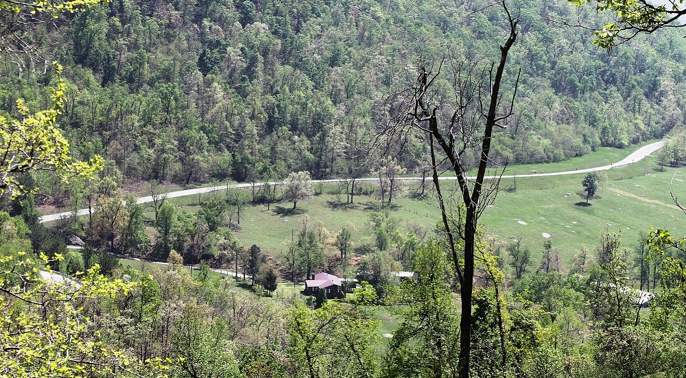 Riding the Ozarks: The return of the original midget