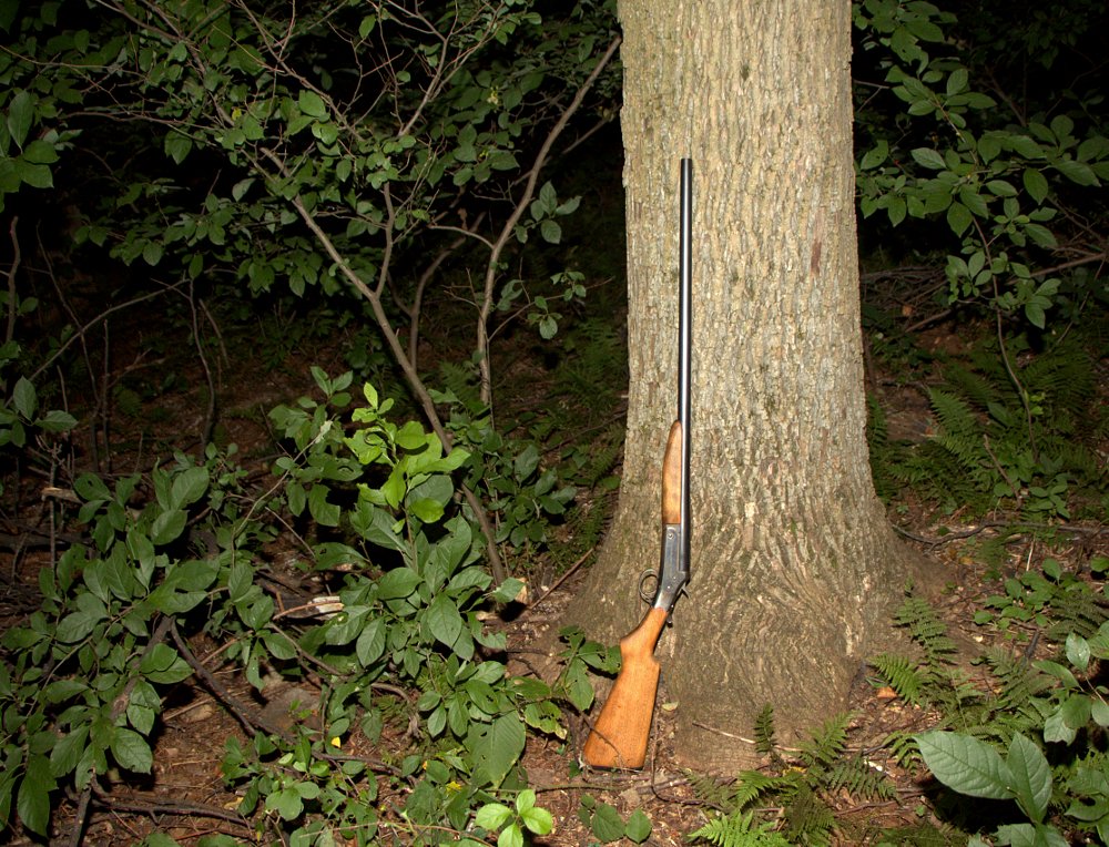 Shotgun