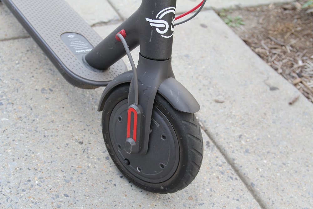 Bird electric scooter