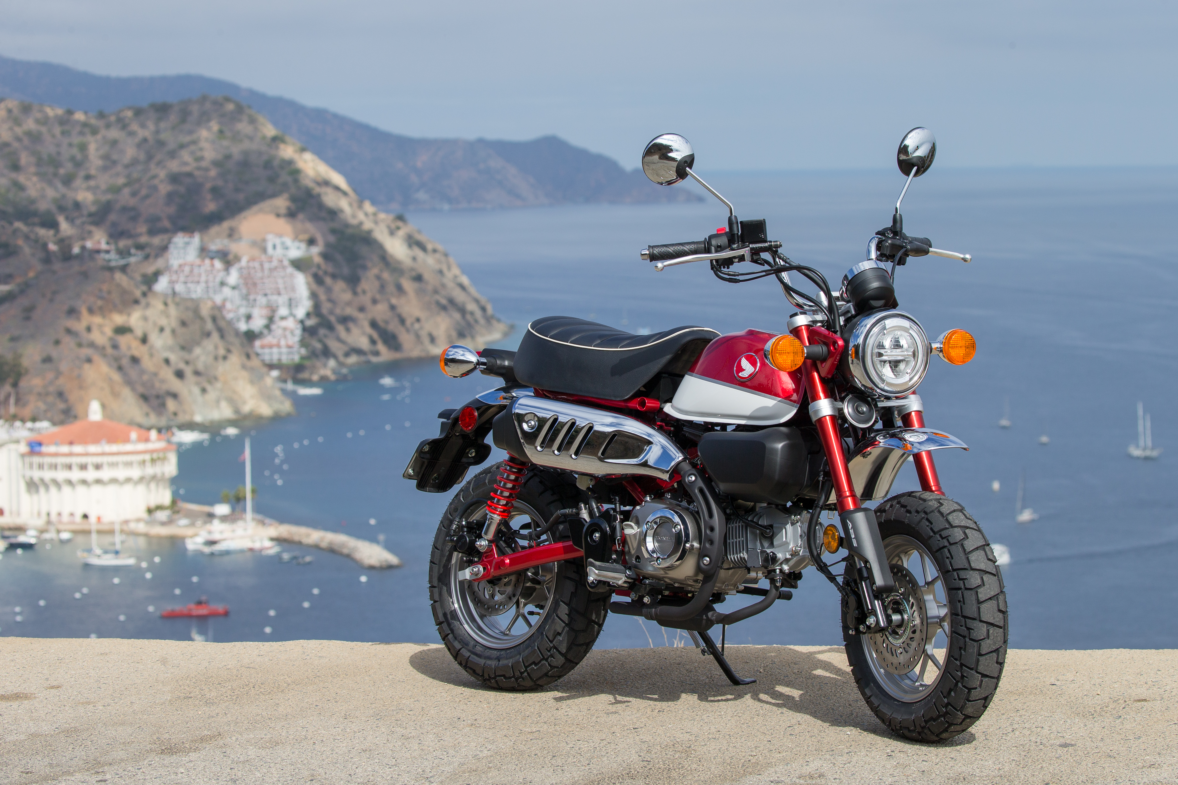 2019 Honda Monkey first ride review - RevZilla