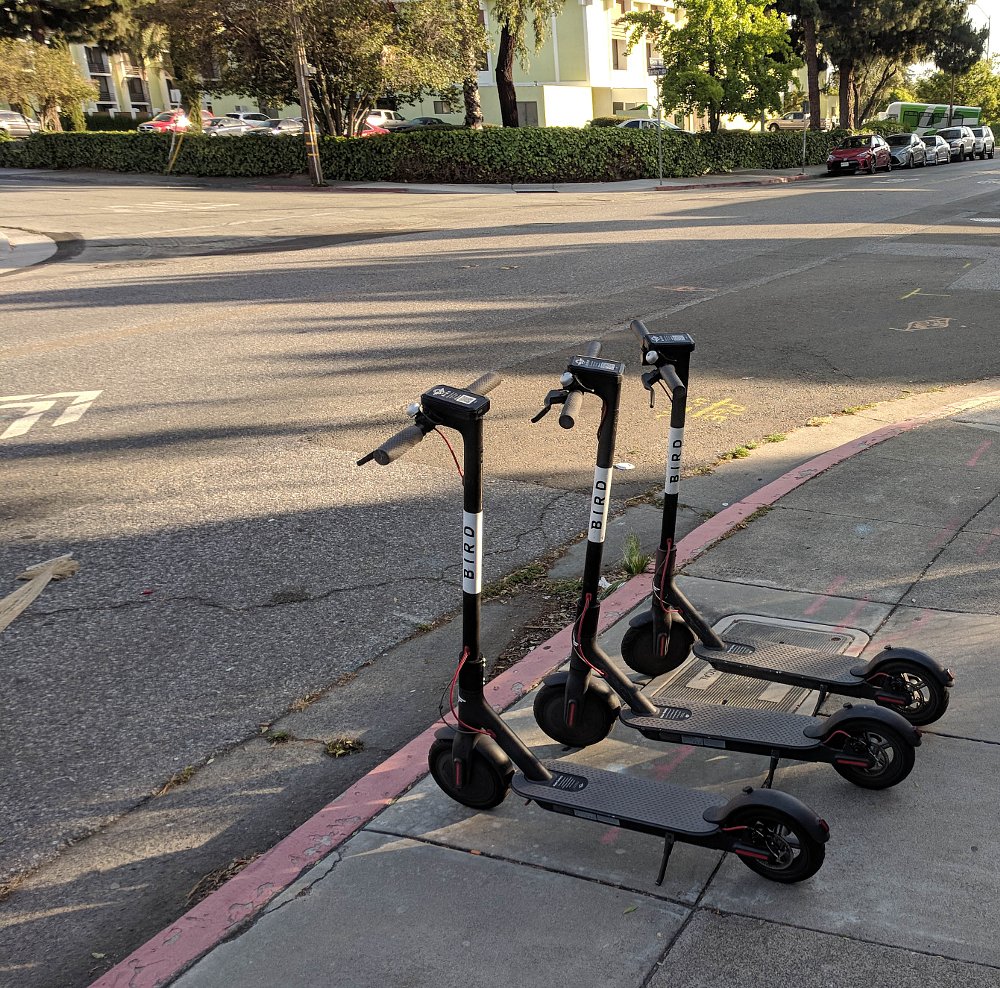 Bird scooters