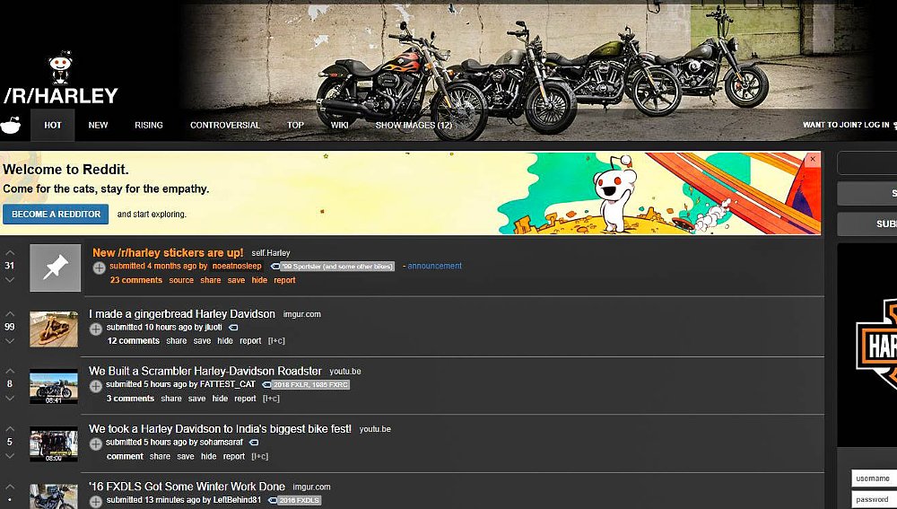 Interview with /r/harley's /u/silverfox762