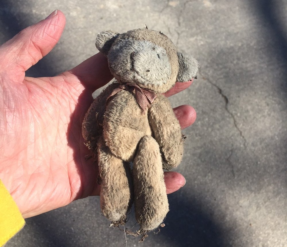 lucky bear #2