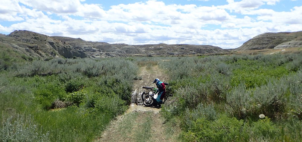 Pulling the motorcycle out of a bog