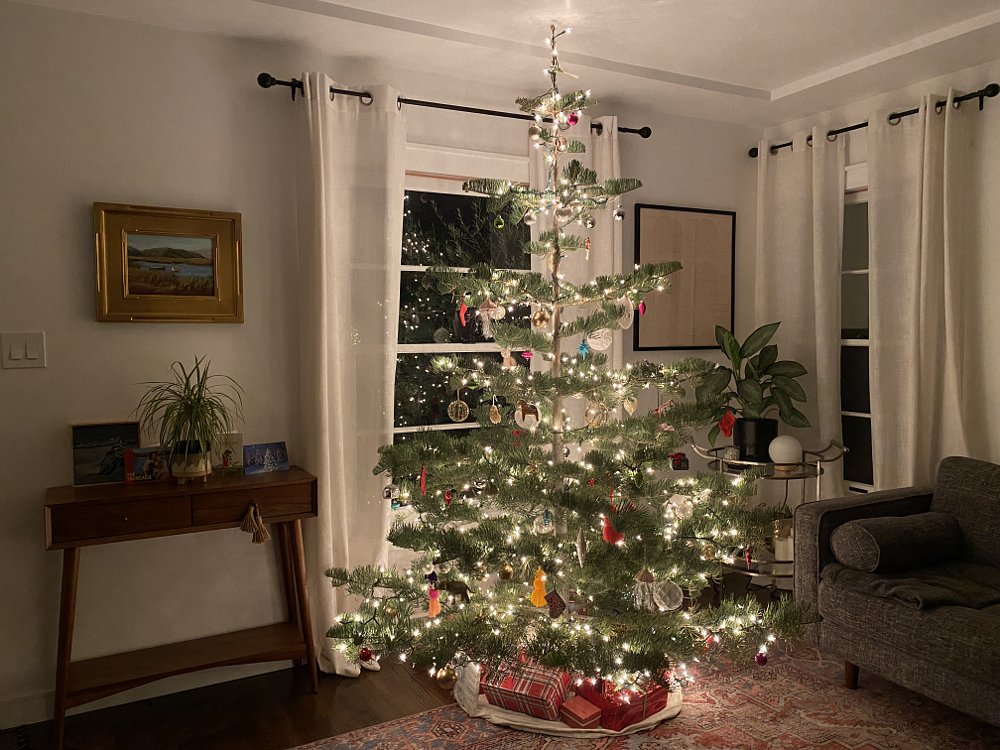 Christmas tree in living room. 