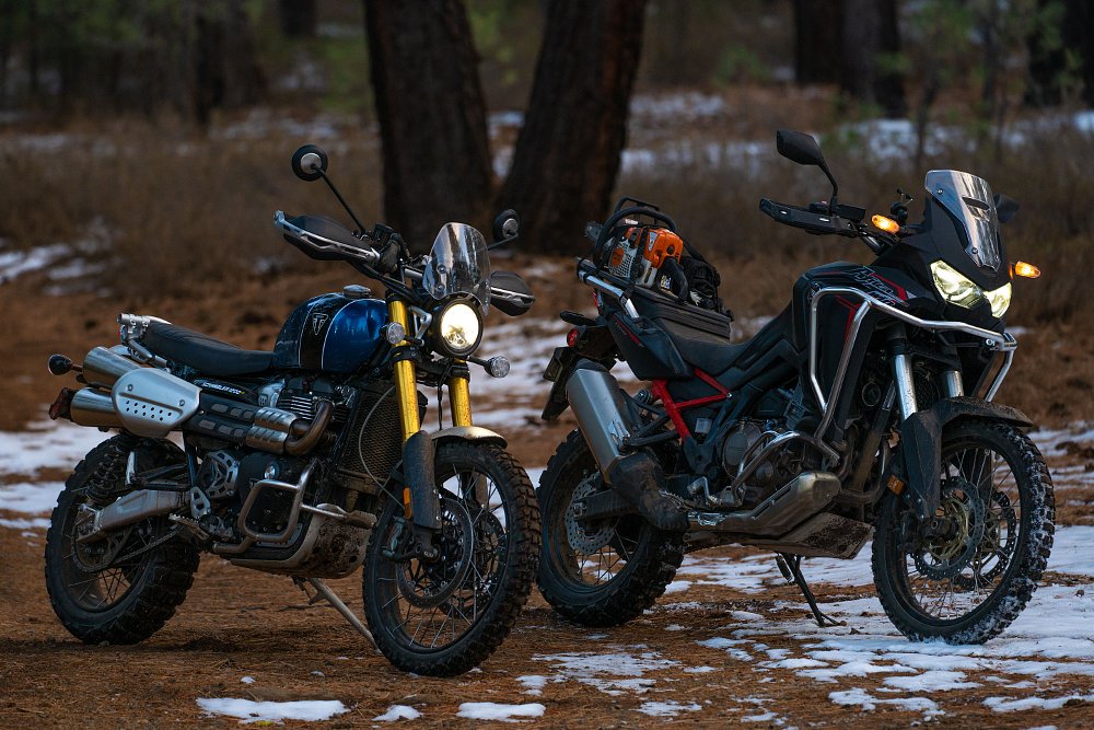 Scrambler 1200 XE and Africa Twin 1100 in the woods.