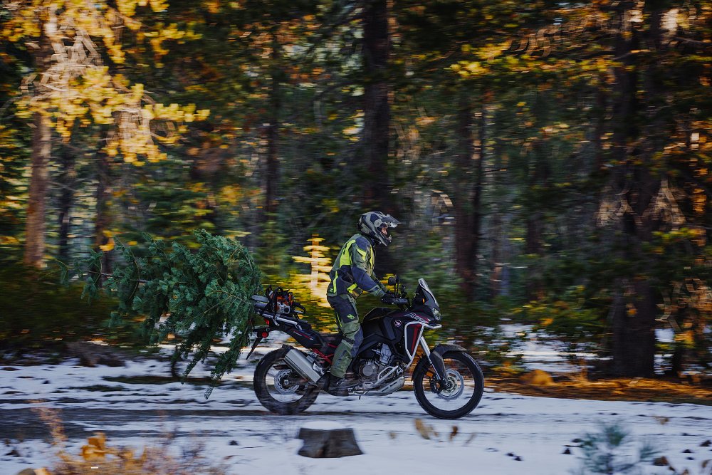 Africa Twin with a Christmas tree.
