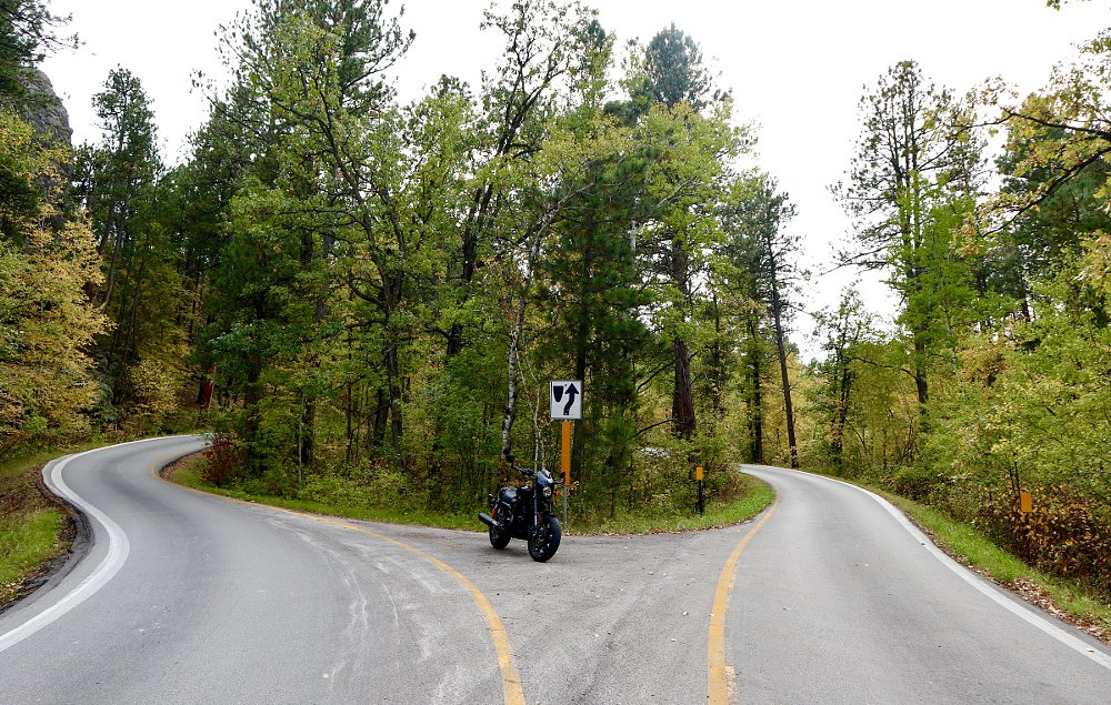 Iron Mountain Road splits