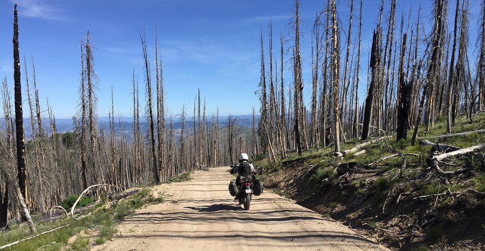 riding through areas burned by wildfires