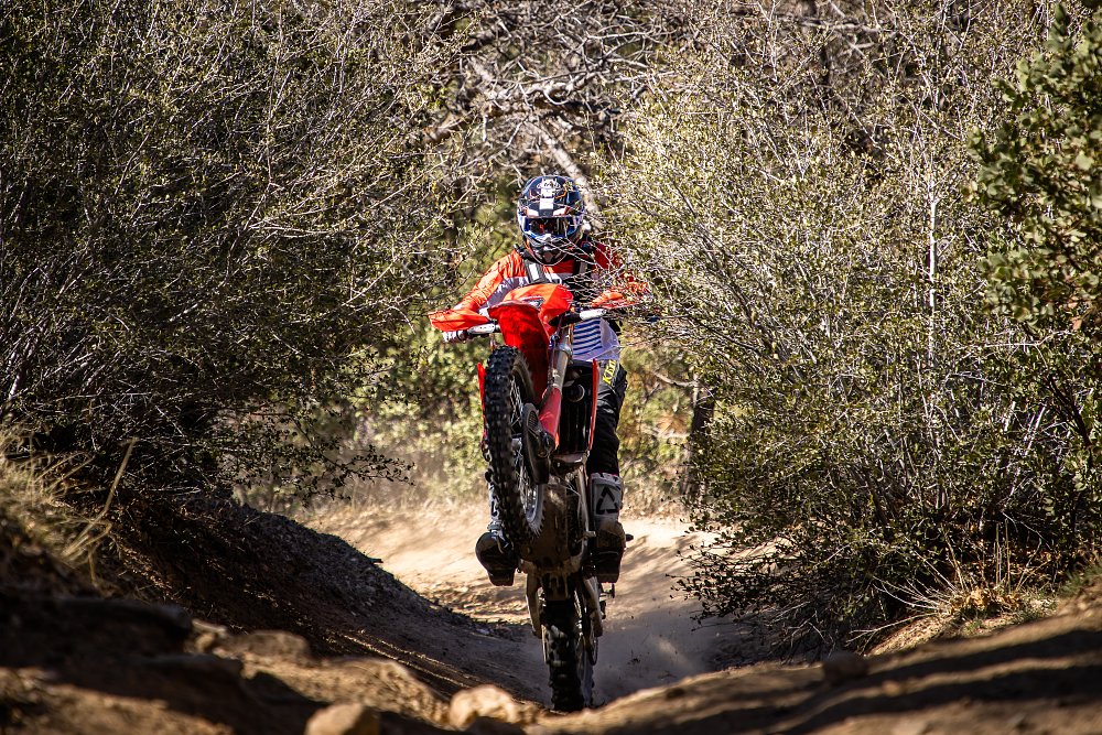 2022 CRF450Rl wheelying through bushes.