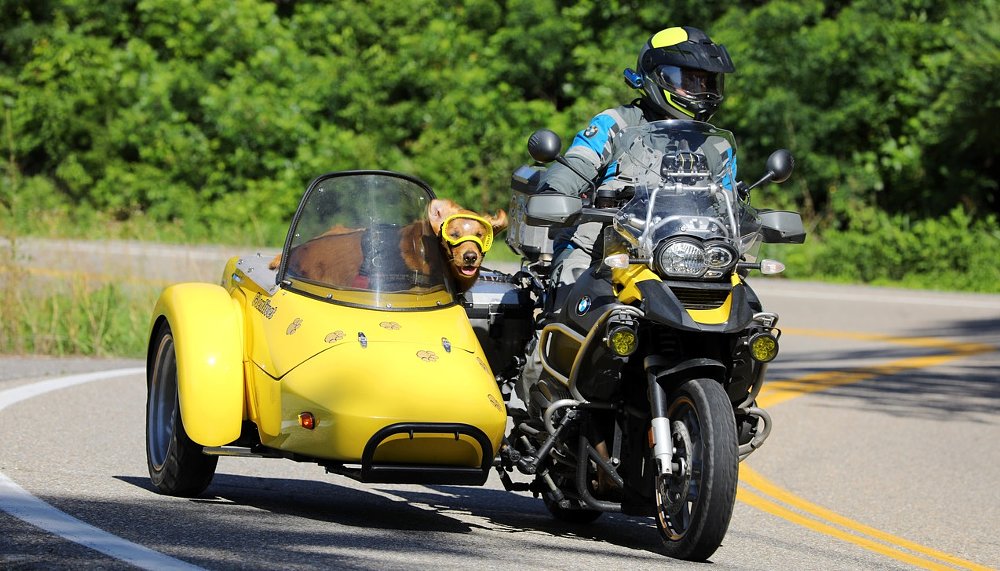 Dogs and sidecars: Tips from a long-distance traveler
