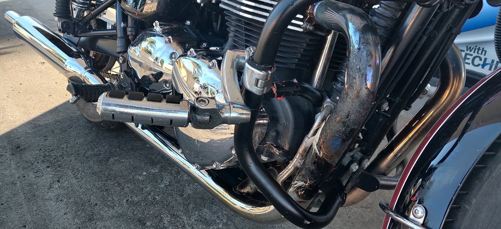 bird remains on the motorcycle exhaust