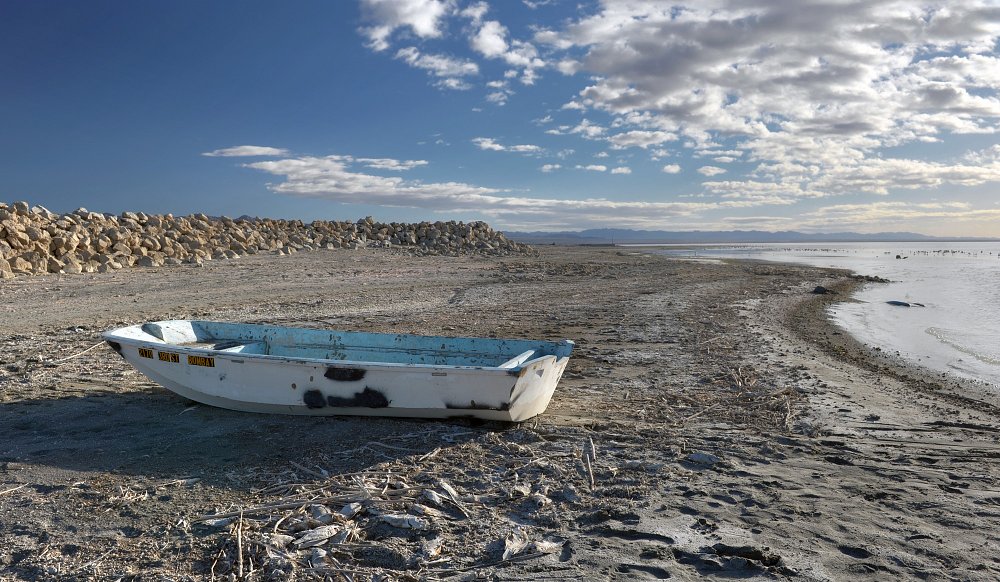 shore of the Salton Sea