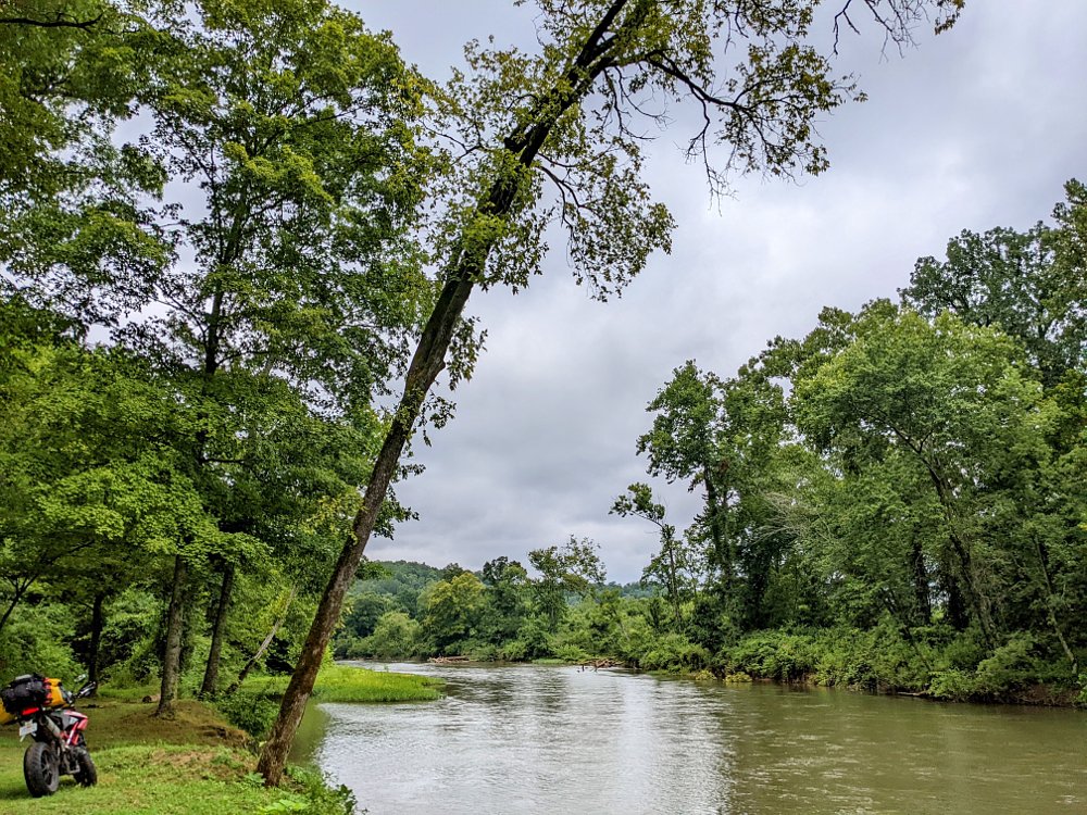 Ducati parked along a forested river