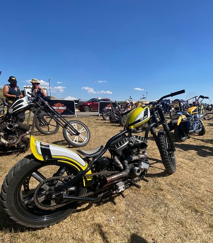 Led Sled Custom Sportster