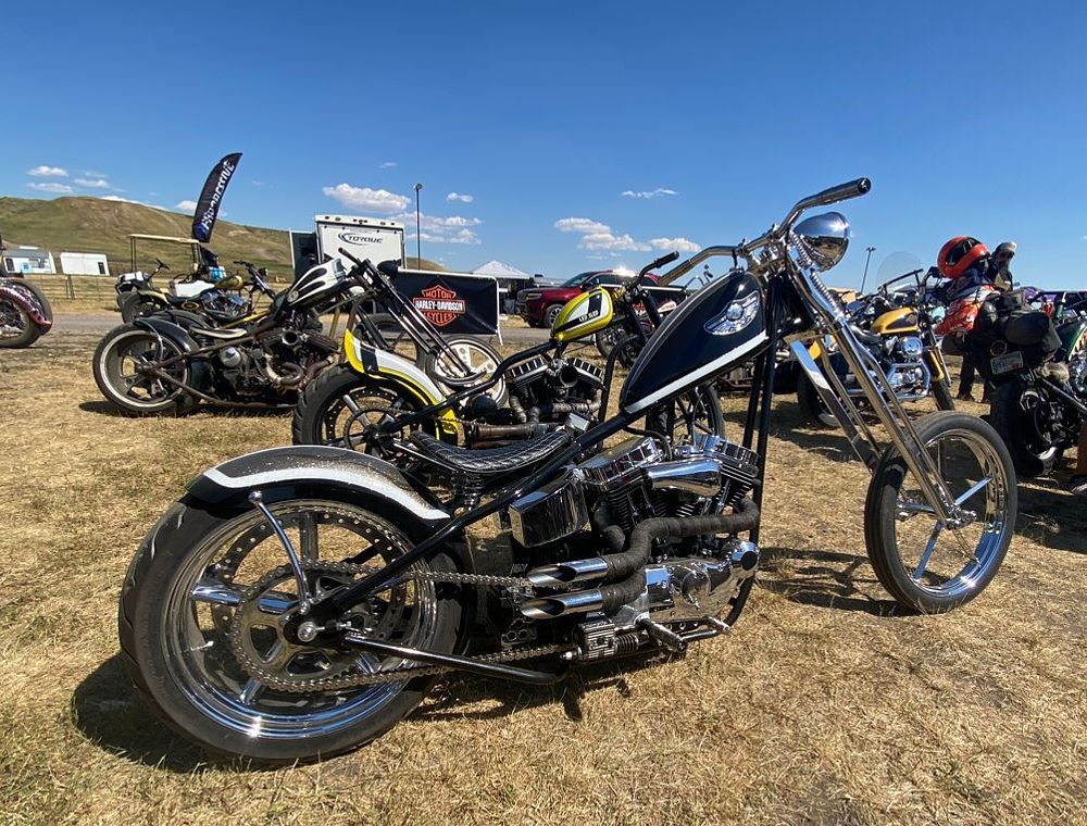 Led Sled Custom Sportster