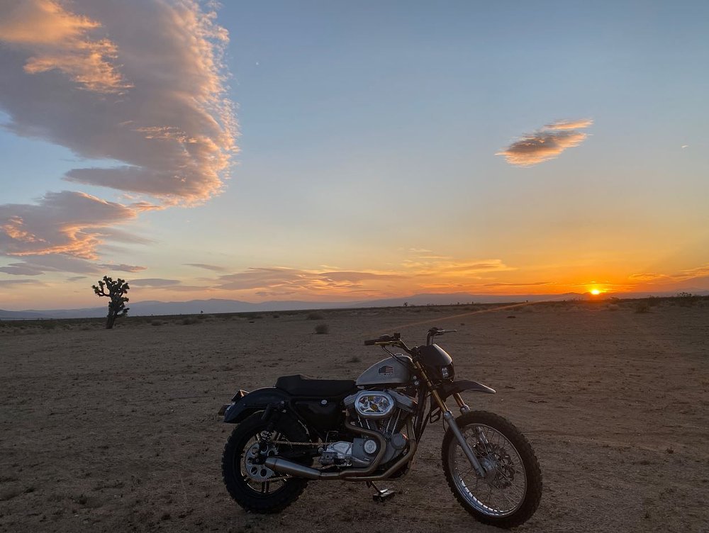 Harley Sportster Sunset