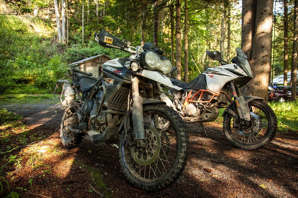 Triumph and KTM parked side by side in the woods