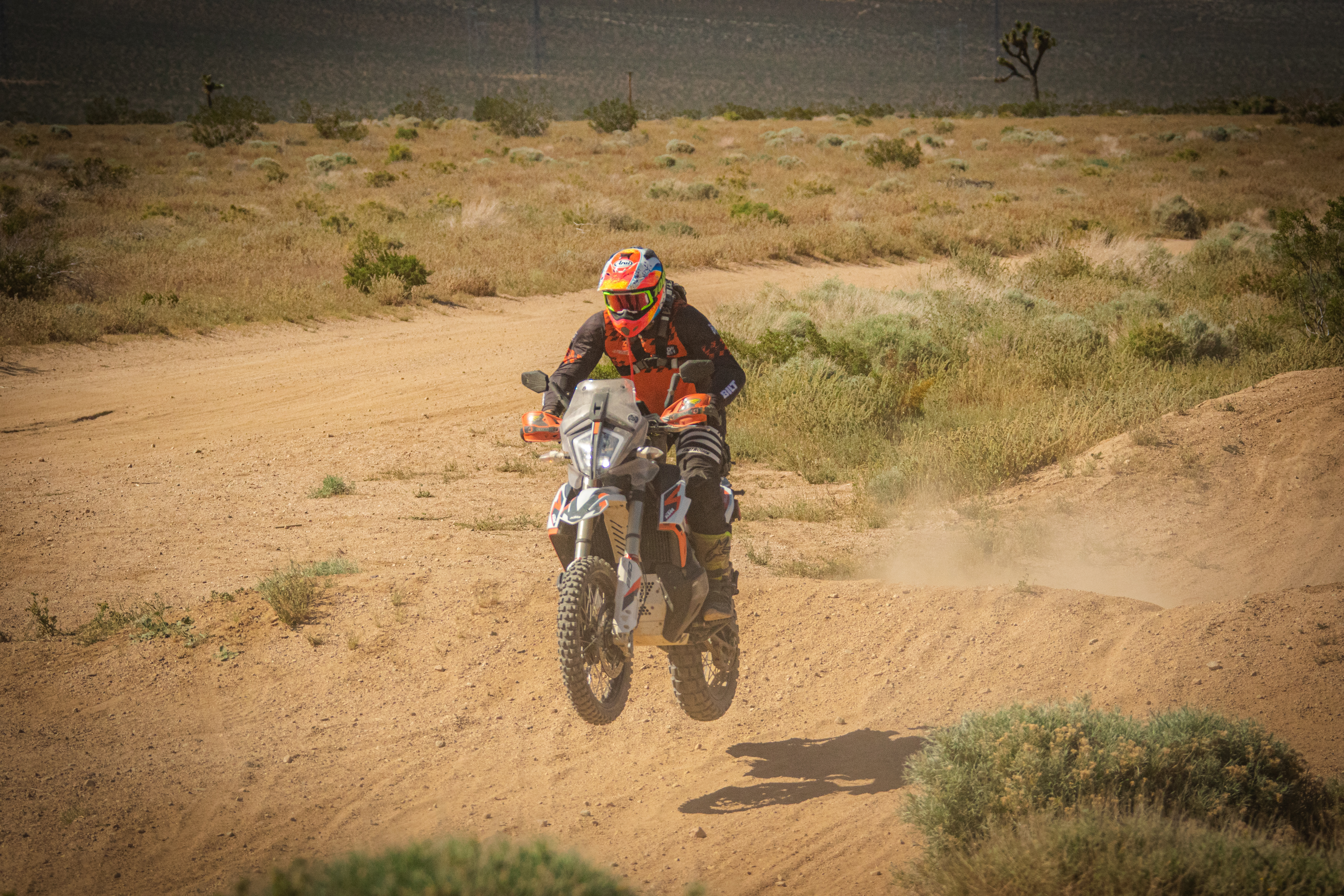 KTM 890 Adventure R Rally