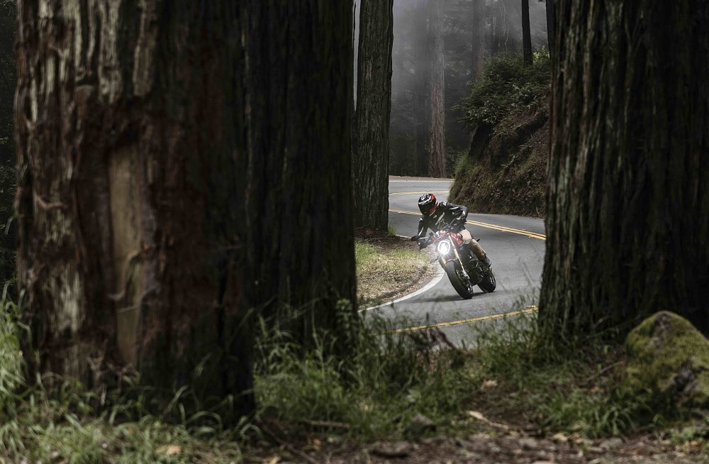 A 2024 Ducati Monster SP rides along a twisty road through a grove of redwood trees.
