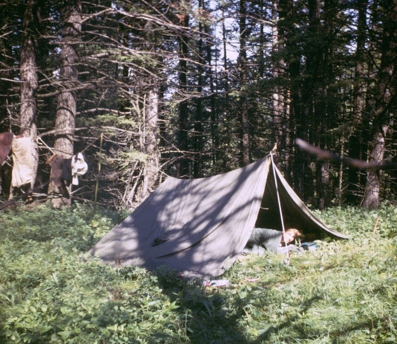 Chris sleeping in a basic tent in front of trees