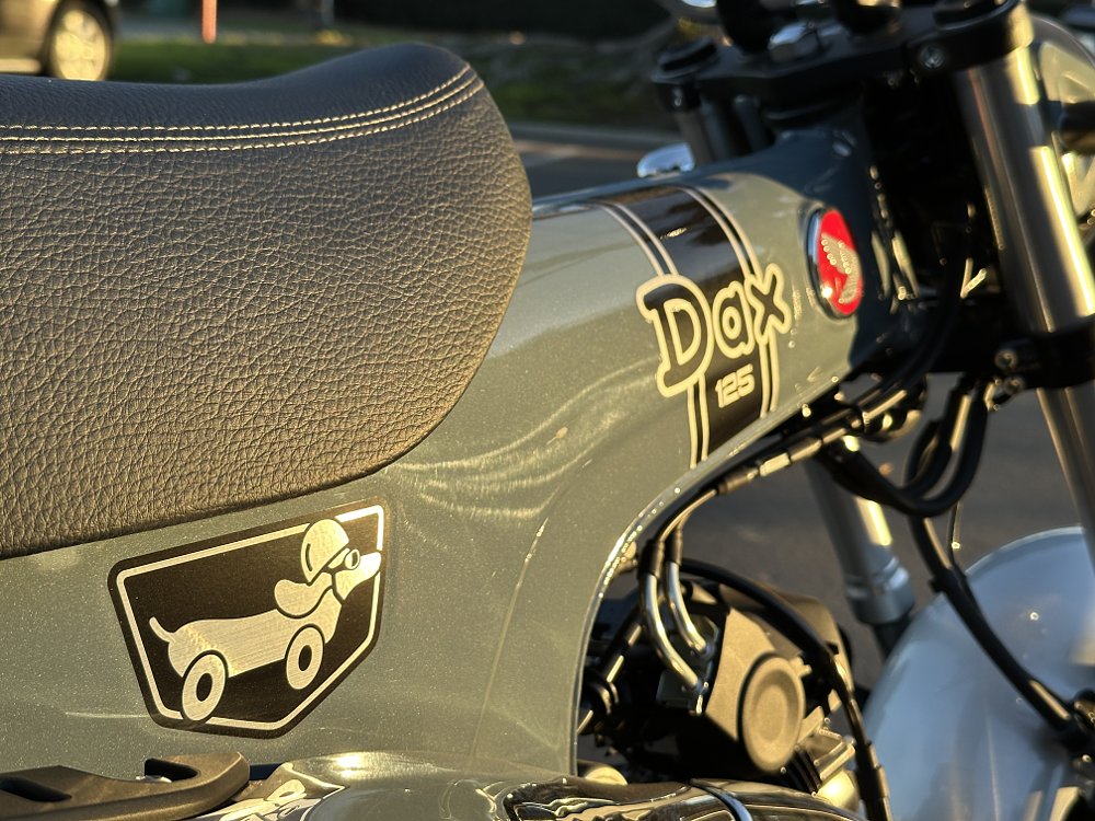 Detail image of the dachshung logo on the side of a 2025 Honda Dax 125.