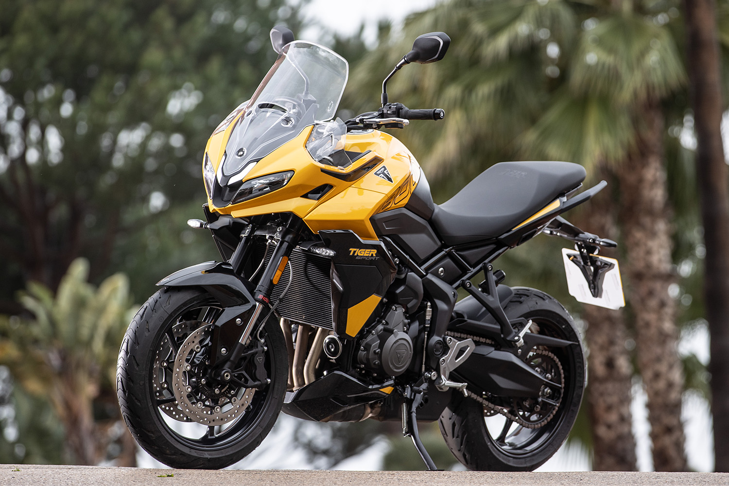 2025 Triumph Tiger Sport 800 first ride review - RevZilla