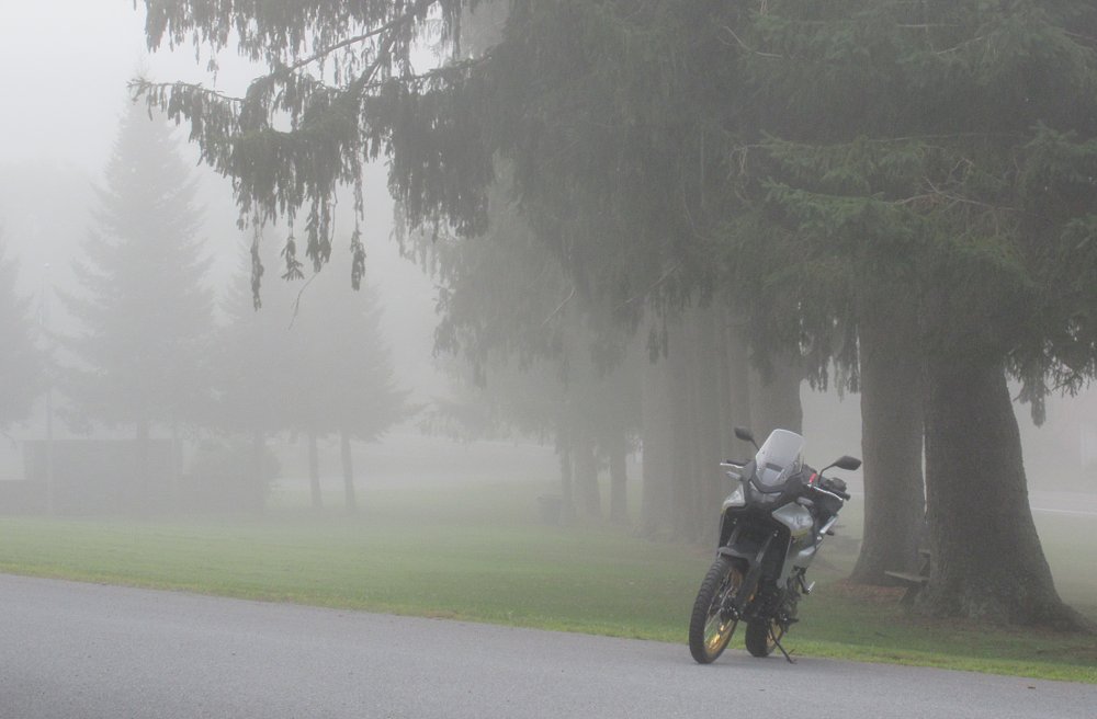 Transalp parked beside towering pine trees in thick fog