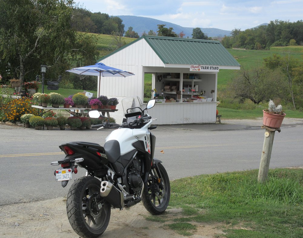 white Honda NX500 parked in front of a farmer's roadside stand on a country lane