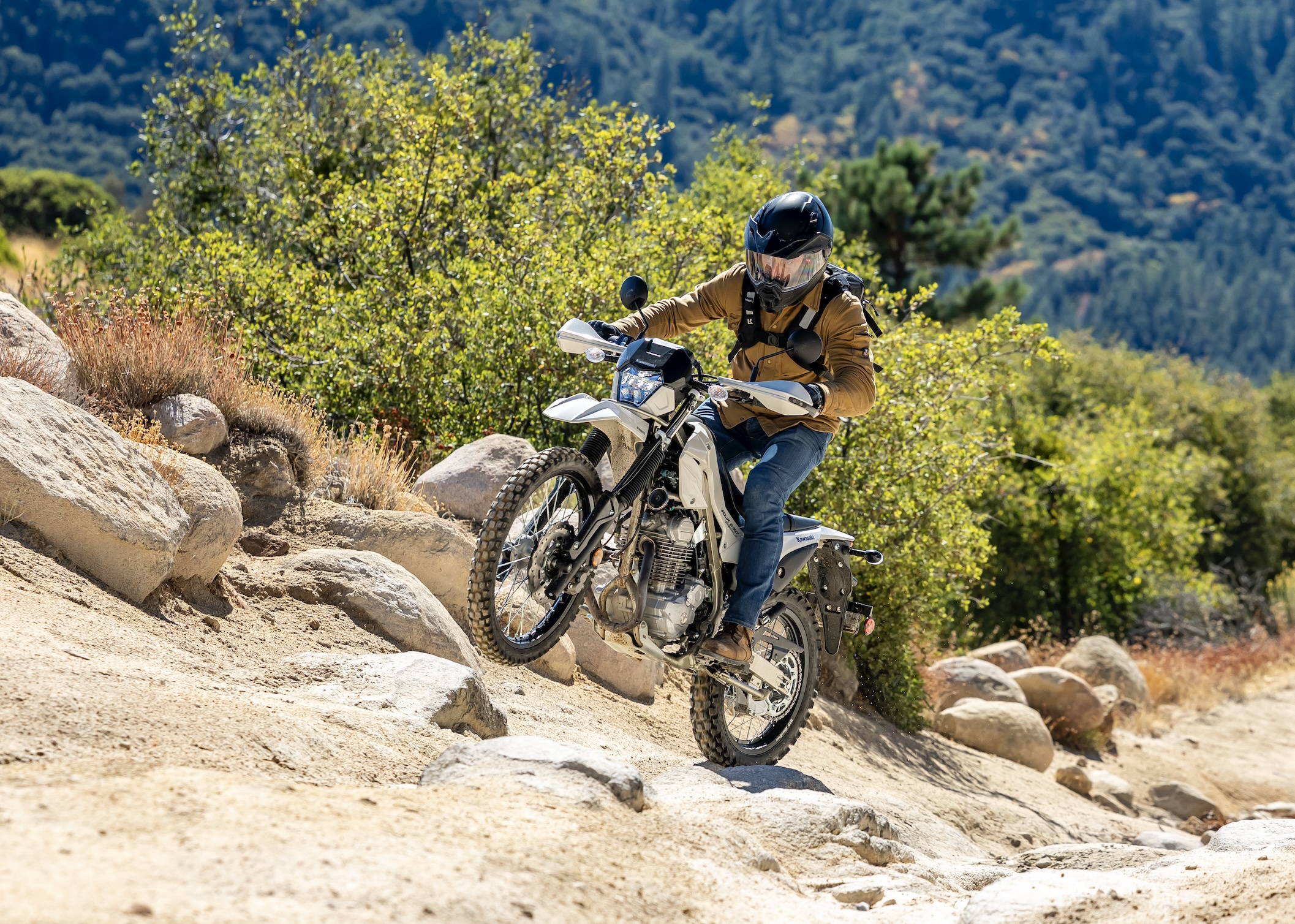 2026 Kawasaki KLX230 Sherpa S first ride review - RevZilla