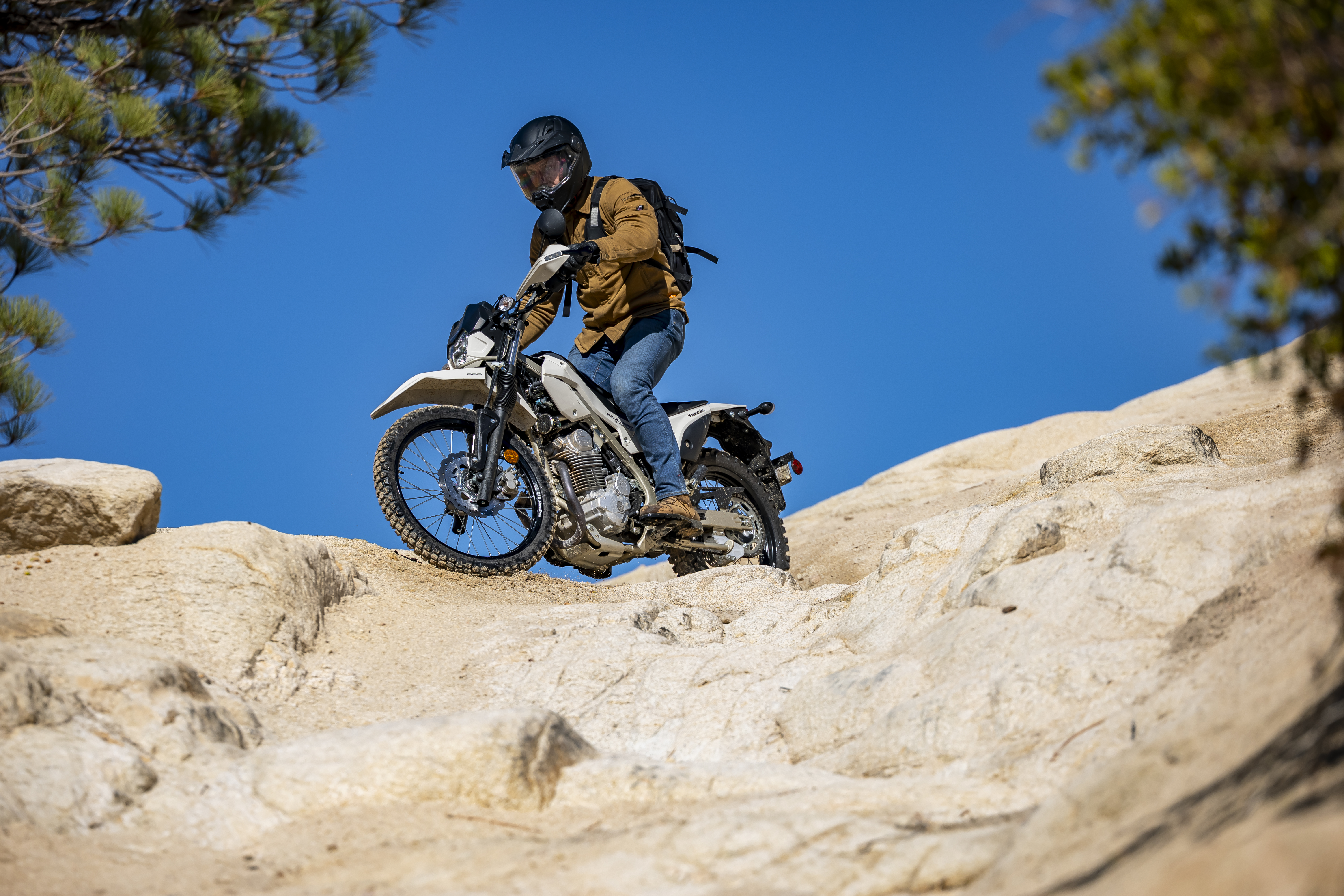2026 Kawasaki KLX230 Sherpa S first ride review - RevZilla