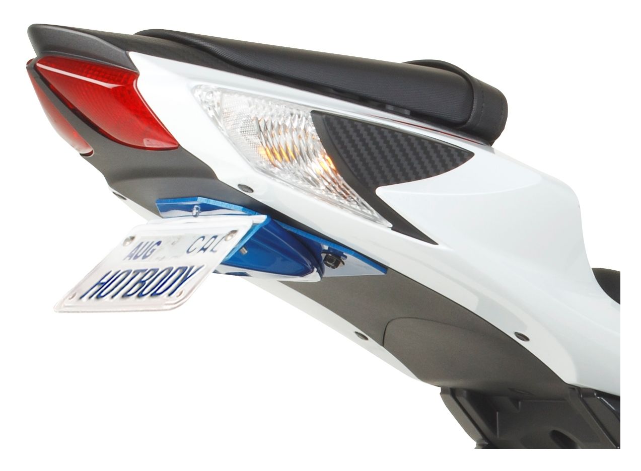 Motorcycle Fender Eliminators Body & Frame Rumble Concepts Bone Series