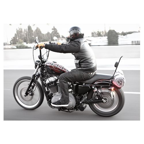 Burly Tall Sissy Bar For Harley Sportster 20042018 RevZilla