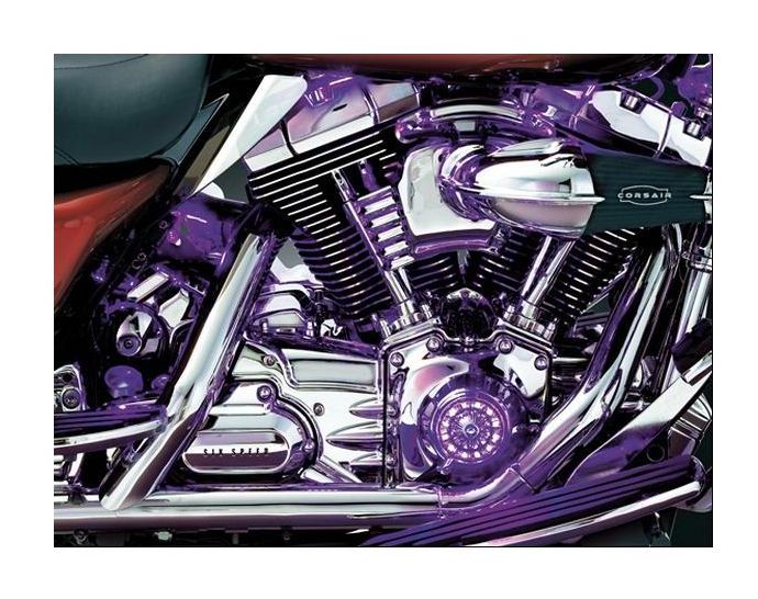 Kuryakyn Super Lizard LED Light Expansion Kit - RevZilla