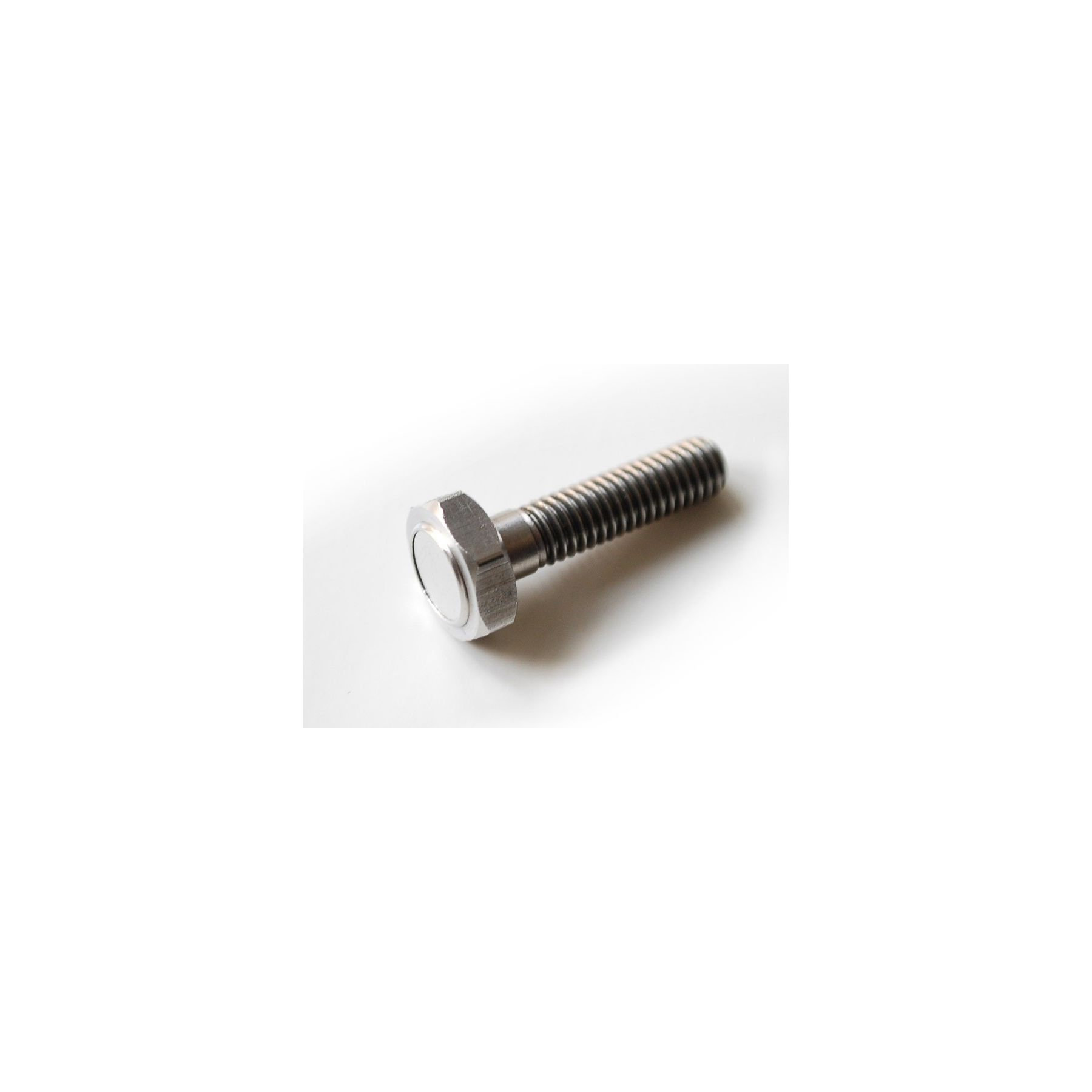 Motogadget Magnetic Bolt