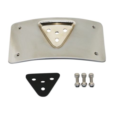 Custom Dynamics Radius Laydown License Plate Frame Mount For Harley