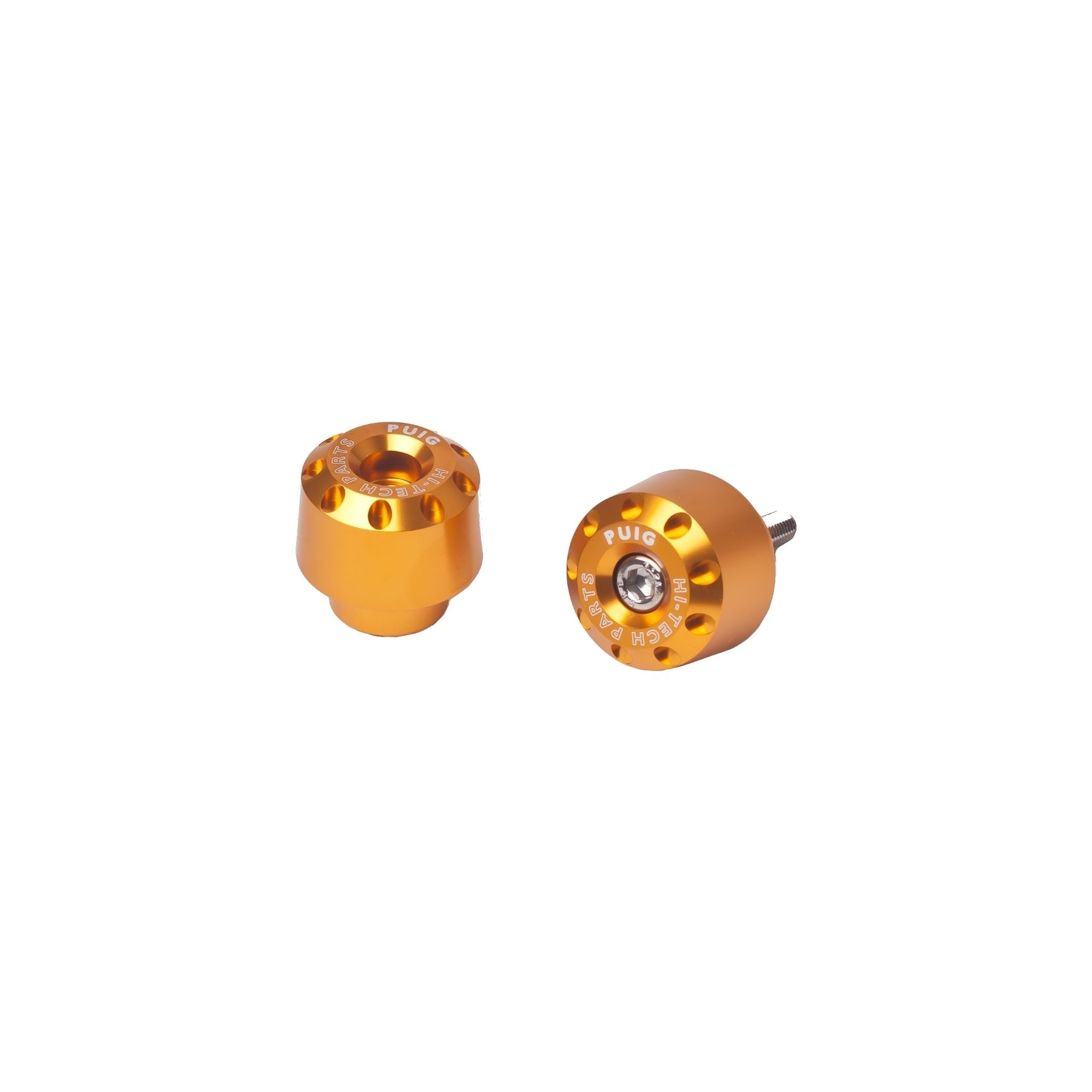 Puig Bar Ends BMW F800GS / R1200RS / R1250RS