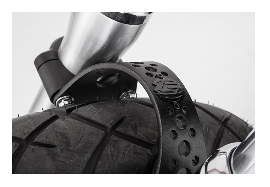 Roland Sands Fork Brace For Harley Revzilla