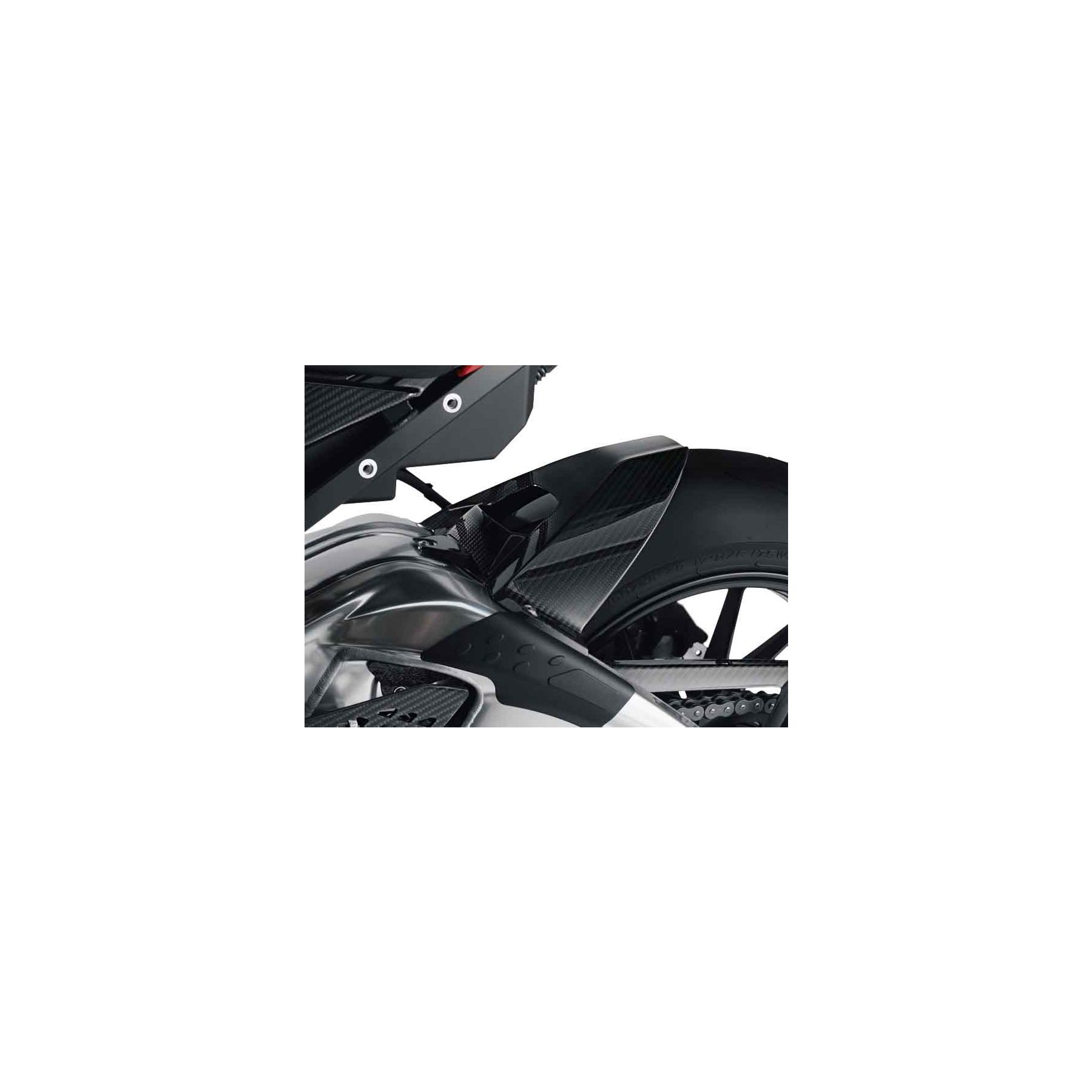 BMW HP Carbon Rear Tire Hugger S1000R / S1000RR