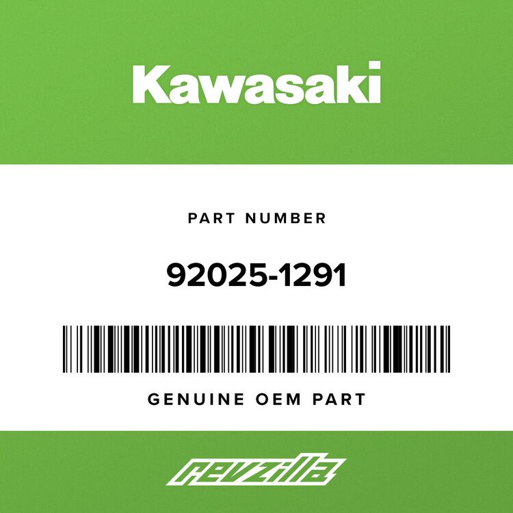 Kawasaki 92025-1291 SHIM, 12.5X17X0.6 - RevZilla