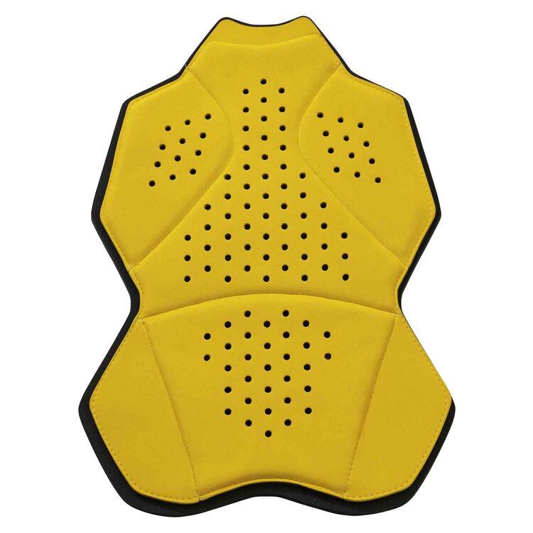 BMW NP2 Back Protector