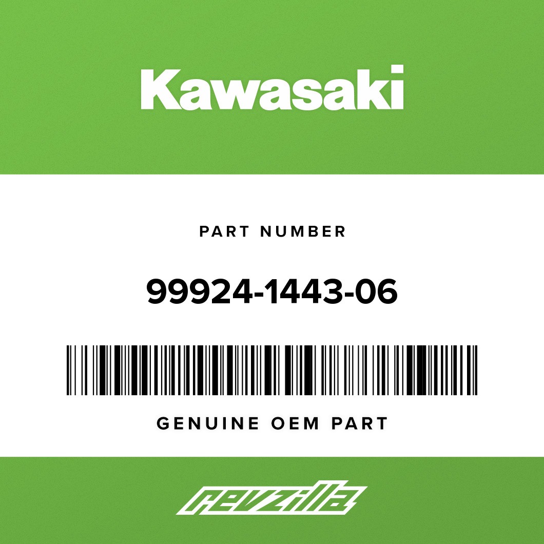 ST OEM Kawasaki 99924-1443-31 11 Ninja ZX-10R ABS Shop Service
