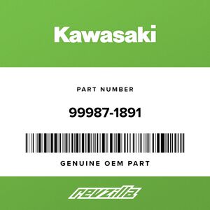 hal/A1000-10/ Kawasaki 99987-1891 O/M ZX1000RGF - RevZilla
