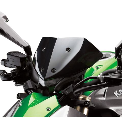 Kawasaki Meter Cover